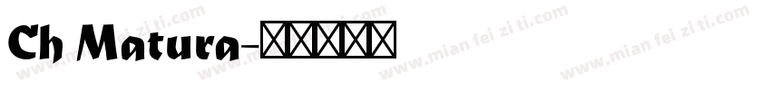 Ch Matura字体转换